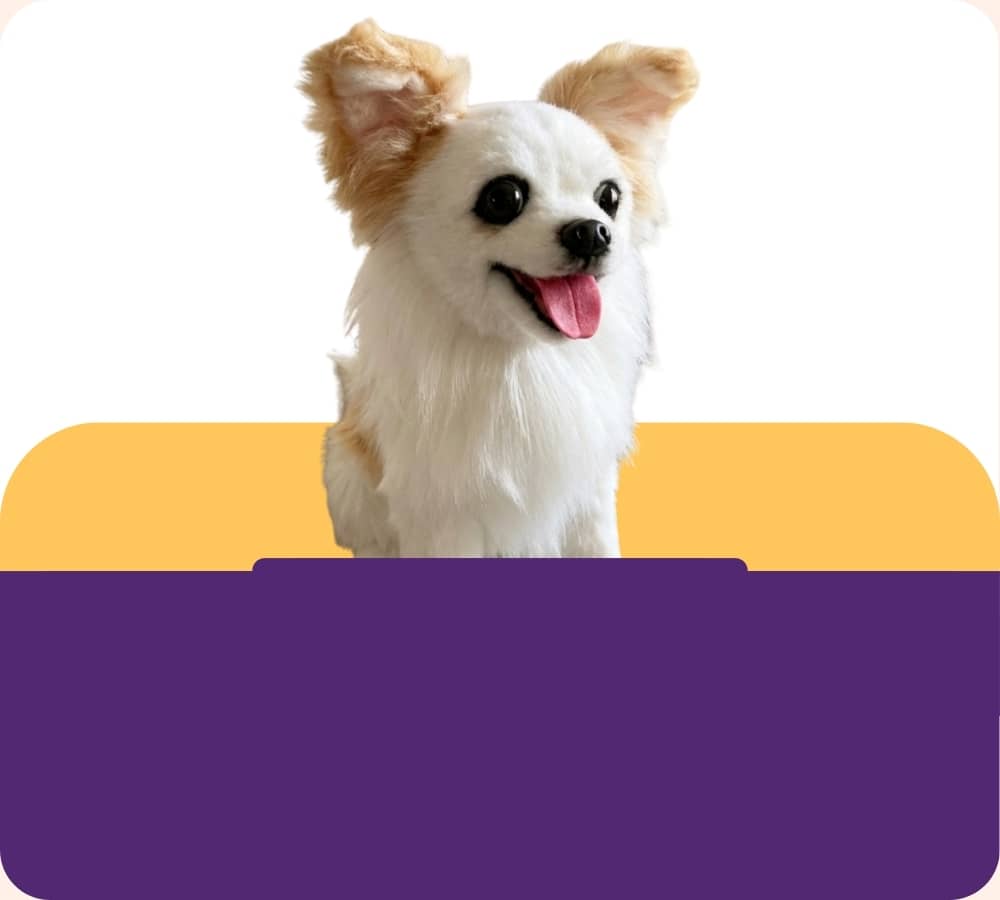 Small dog with a happy expression sitting behind a purple and yellow barrier.