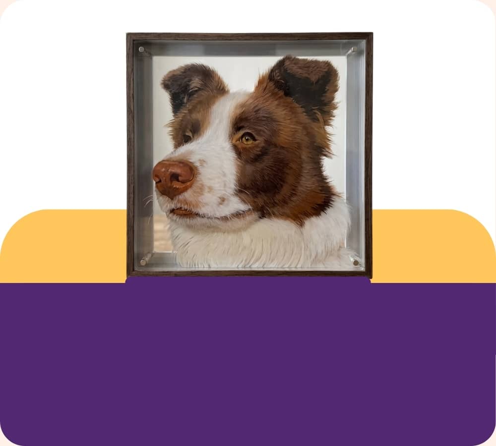 Framed picture of a brown and white dog on a purple and yellow background